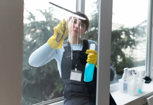 Nettoyage de vitres intérieures et extérieures à Veyrières